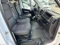 Opel Movano 35 L3 H2 2.2 Bluehdi 140CV S&S FURGONE PL-TA Blanc - thumbnail 12