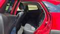 Mazda CX-3 CX-3 1.5d Exceed 2wd 105cv my17 Rosso - thumbnail 15