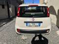 Fiat Panda 1.2 easypower Lounge Gpl 69cv E6 Beige - thumbnail 4