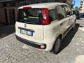 Fiat Panda 1.2 easypower Lounge Gpl 69cv E6 Beige - thumbnail 5