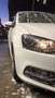 Volkswagen Polo Polo Trendline 1,4 TDI Weiß - thumbnail 2
