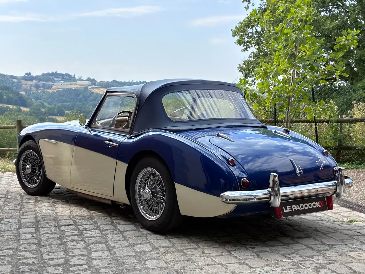 Austin-Healey 3000 BN7, foto 3