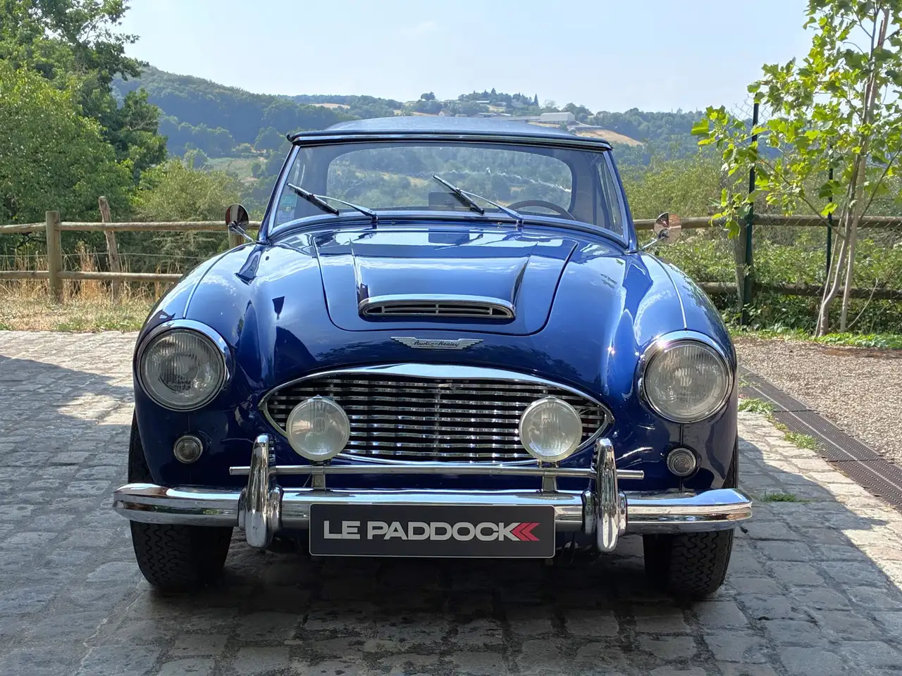 Austin-Healey 3000 BN7, foto 4