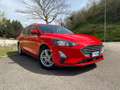 Ford Focus SW 1.5 tdci Business s&s 120cv powershift Rosso - thumbnail 1