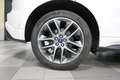 Ford Edge 2.0 TDCI 210 CV AWD S&S Powershift Sport EURO 6B Bianco - thumbnail 14