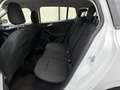 Ford Focus Traveller 1,5 EcoBlue Trend - thumbnail 10