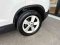 Skoda Karoq 2.0TDI AdBlue Ambition 4x4 DSG 110kW Blanco - thumbnail 10