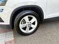 Skoda Karoq 2.0TDI AdBlue Ambition 4x4 DSG 110kW Blanco - thumbnail 9