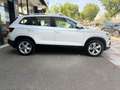 Skoda Karoq 2.0TDI AdBlue Ambition 4x4 DSG 110kW Blanco - thumbnail 3