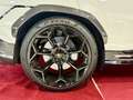 Lamborghini Urus Performante*FULLCARBON*ALCANTARA*KERAMIK Bianco - thumbnail 11