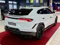 Lamborghini Urus Performante*FULLCARBON*ALCANTARA*KERAMIK Bianco - thumbnail 5