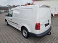 Volkswagen Caddy Maxi Kasten BMT AHK Regal Klima Tempomat Weiß - thumbnail 5