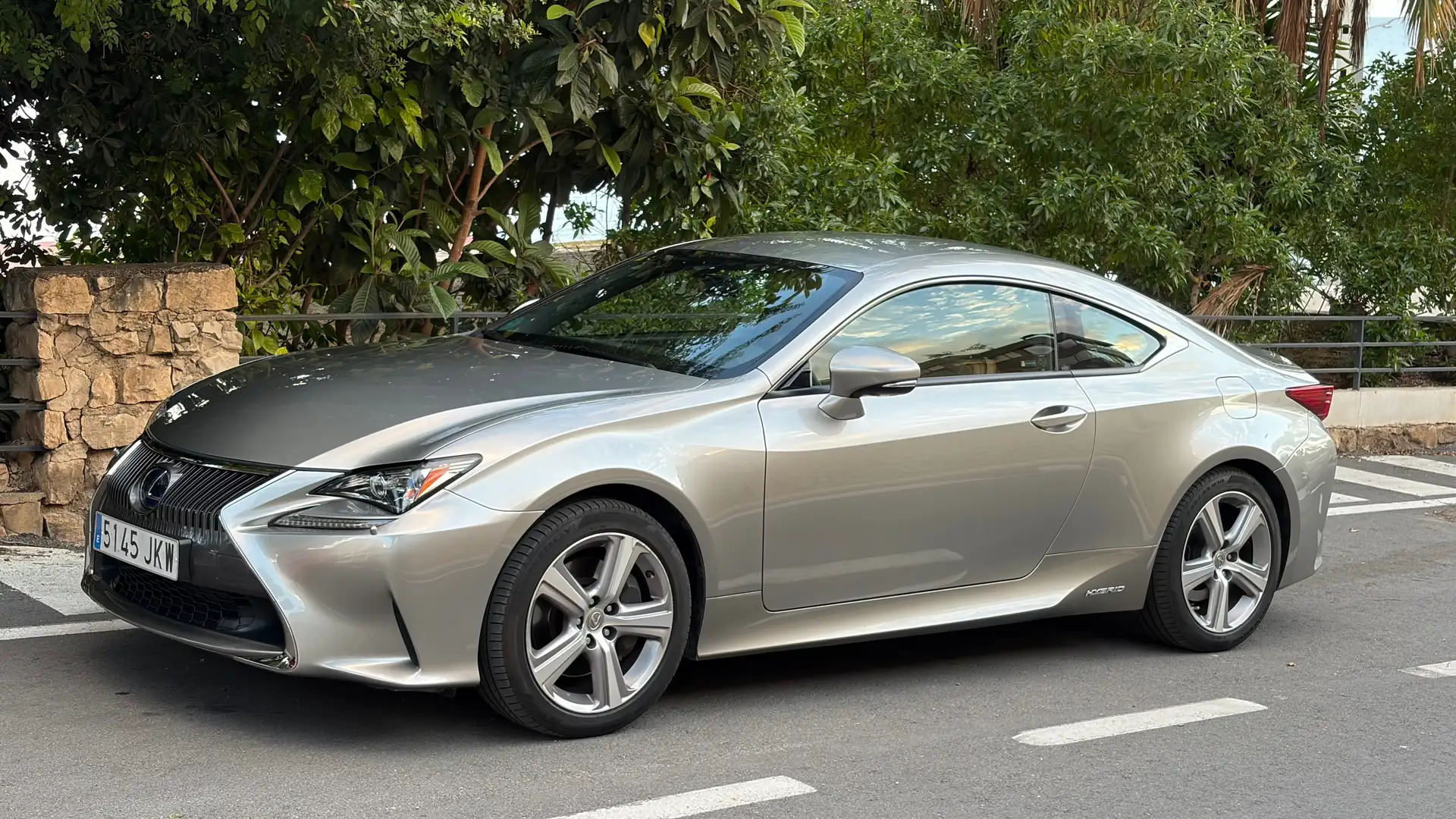 Lexus RC 300h RC 300h Executive Executive Gris - 2