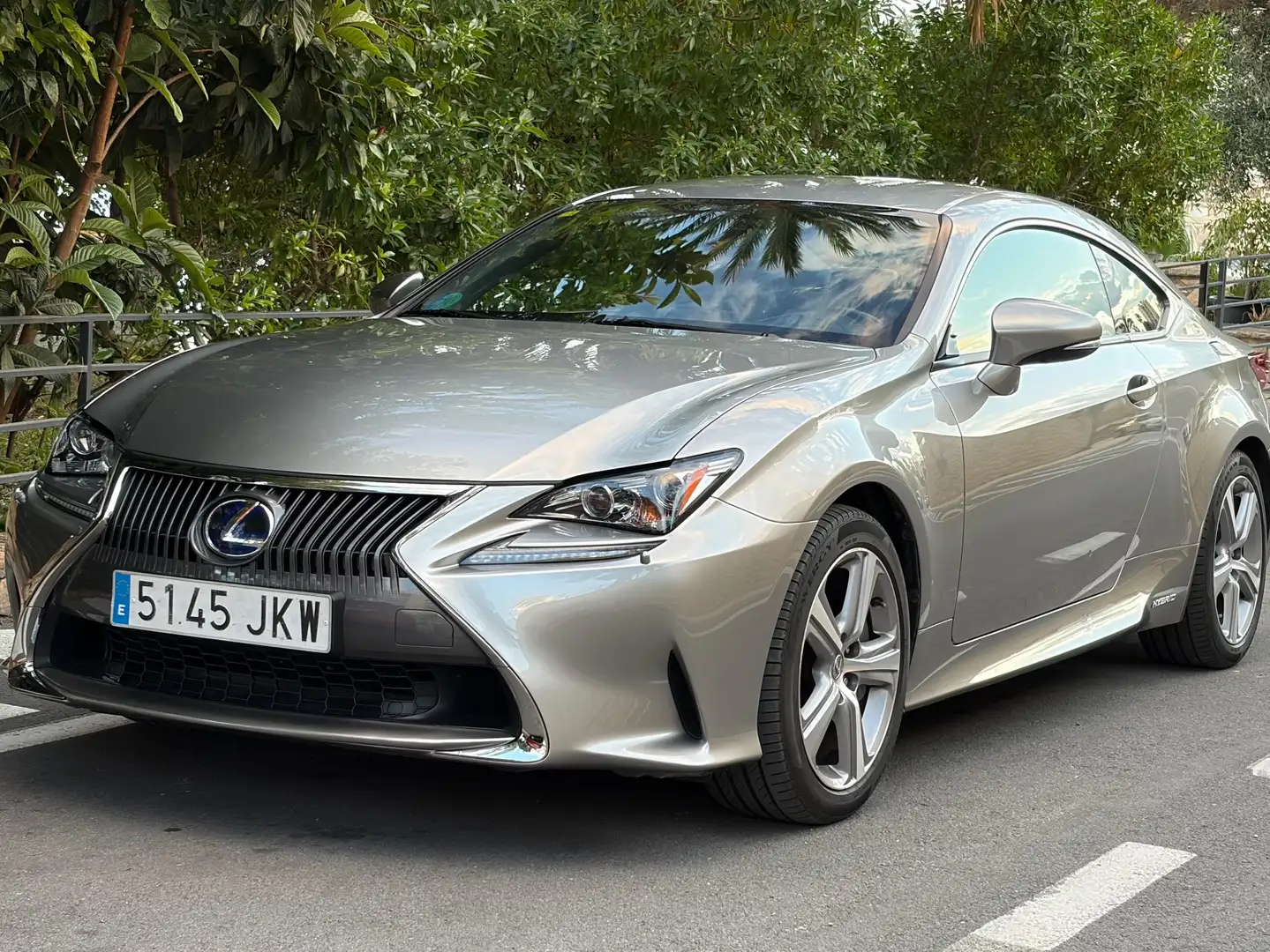 Lexus RC 300h RC 300h Executive Executive Gris - 1