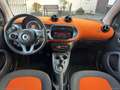 smart forTwo 70 1.0 twinamic Prime Bianco - thumbnail 12