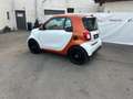 smart forTwo 70 1.0 twinamic Prime Bianco - thumbnail 10