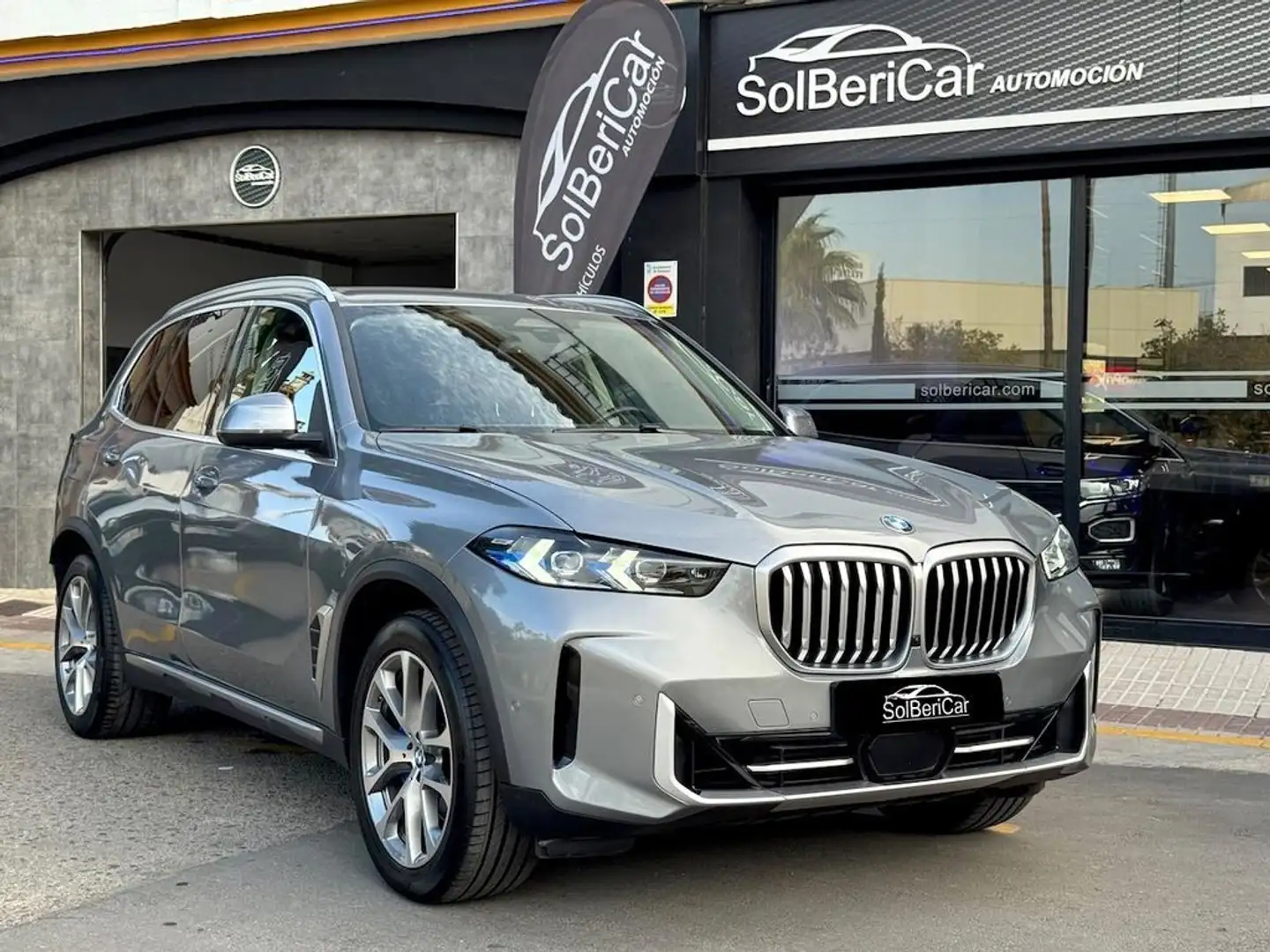 BMW X5 xDrive30d Gris - 1
