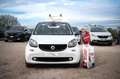 smart forTwo 1.0 mhd bianca lim  cabrio 71cv Bianco - thumbnail 3