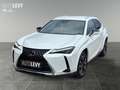 Lexus UX 250h Hybrid Luxury *HUD*MARK-LEVINSON*MEMORY* Weiß - thumbnail 2