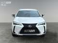 Lexus UX 250h Hybrid Luxury *HUD*MARK-LEVINSON*MEMORY* Weiß - thumbnail 9