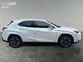 Lexus UX 250h Hybrid Luxury *HUD*MARK-LEVINSON*MEMORY* Weiß - thumbnail 7