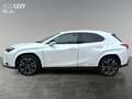 Lexus UX 250h Hybrid Luxury *HUD*MARK-LEVINSON*MEMORY* Weiß - thumbnail 3