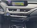Lexus UX 250h Hybrid Luxury *HUD*MARK-LEVINSON*MEMORY* Weiß - thumbnail 12