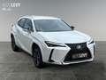 Lexus UX 250h Hybrid Luxury *HUD*MARK-LEVINSON*MEMORY* Weiß - thumbnail 8