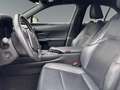 Lexus UX 250h Hybrid Luxury *HUD*MARK-LEVINSON*MEMORY* Weiß - thumbnail 10
