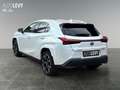 Lexus UX 250h Hybrid Luxury *HUD*MARK-LEVINSON*MEMORY* Weiß - thumbnail 4