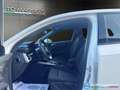 Audi A3 SPB 30 TDI 116CV S tronic Business PREZZO REALE Bianco - thumbnail 10