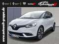 Renault Scenic IV Business Edition 1.3 TCe 140 EU6d Biały - thumbnail 1