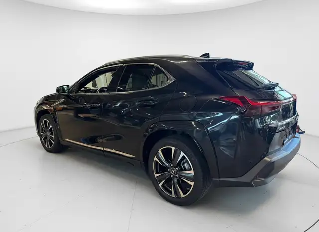 Lexus Ux view 10