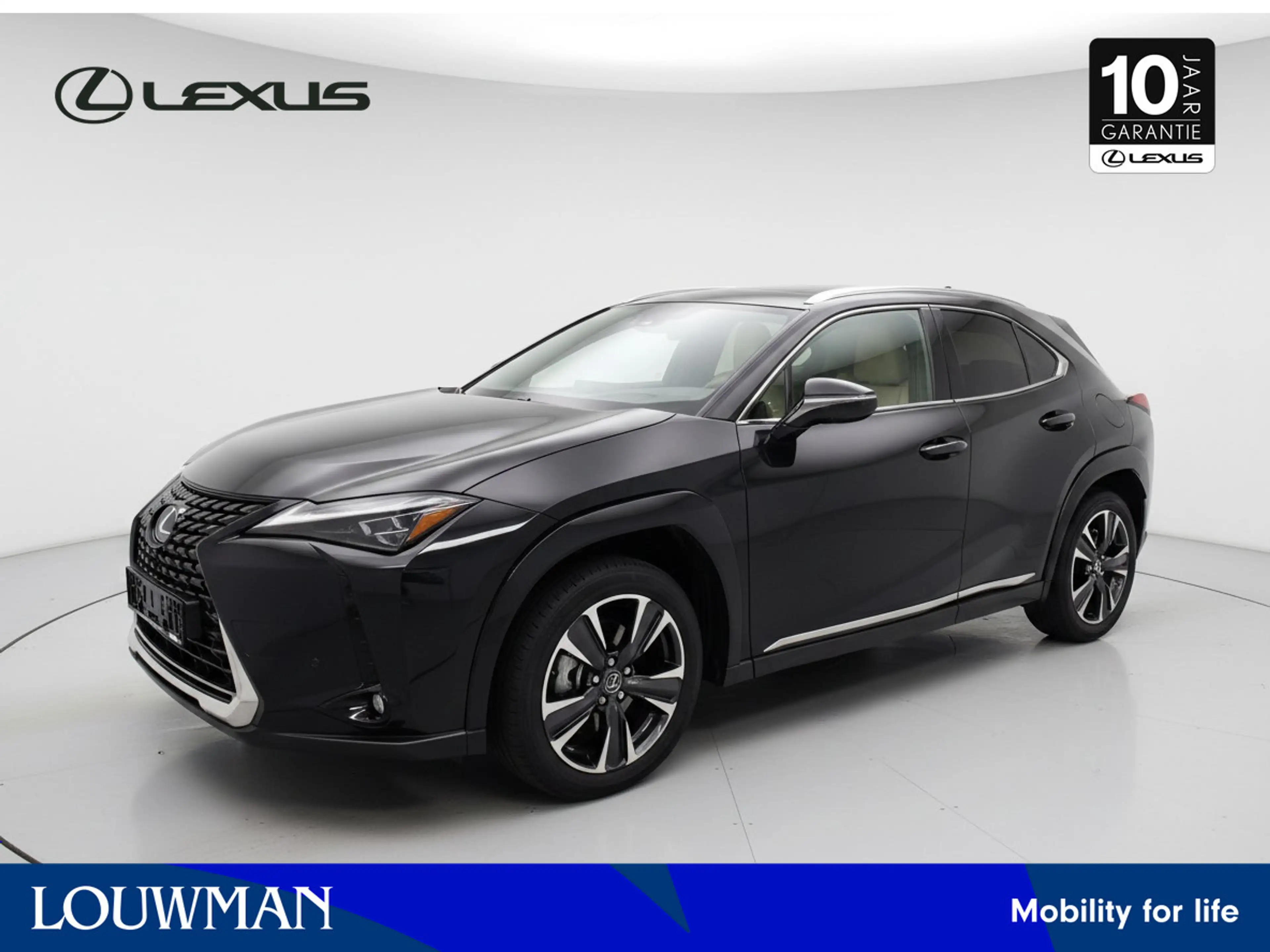 Lexus UX 250h AWD Executive Line + President Pack | Mark-Levinso