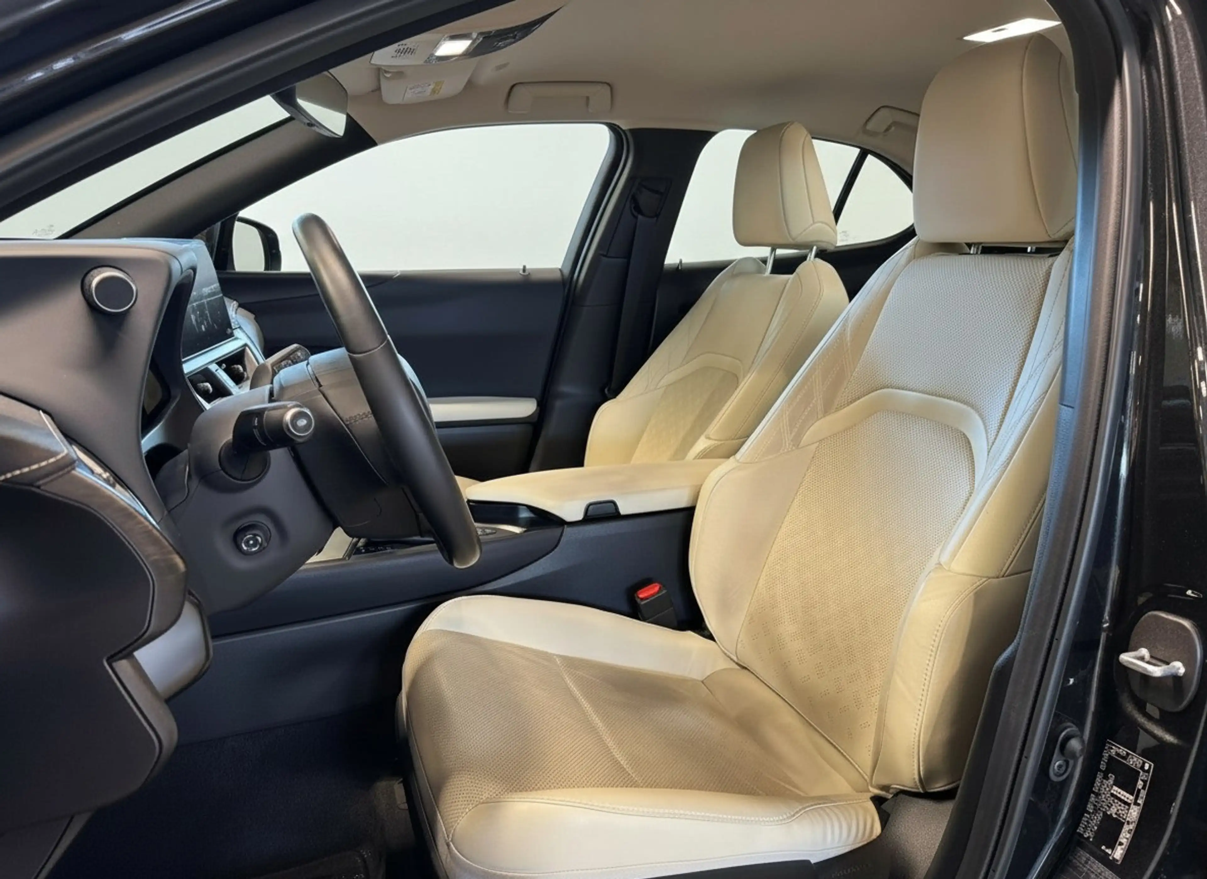 Lexus UX 250h AWD Executive Line + President Pack | Mark-Levinso — photo 5