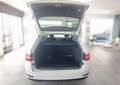 Skoda Superb Combi 2.0TDI AdBlue L&K 4x4 110kW Blanco - thumbnail 11