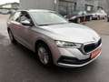 Skoda Octavia Ambition 4x4 Grau - thumbnail 1