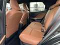 Lexus LBX RELAX Zwart - thumbnail 10