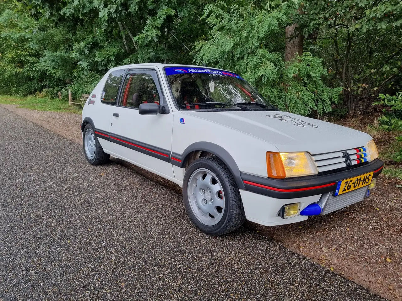 Peugeot 205 2.0 GTi TurboCT, foto 8