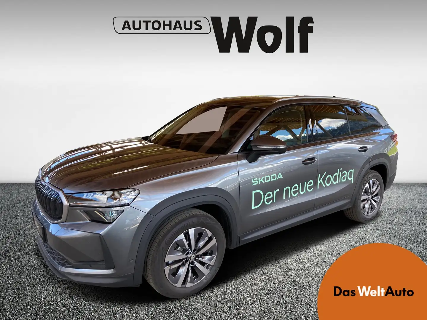 Skoda Kodiaq Selection TDI DSG Grau - 1