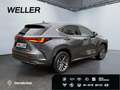 Lexus E-FOUR Executive Line *AHK*360°*el Heck* Gris - thumbnail 19