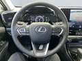 Lexus E-FOUR Executive Line *AHK*360°*el Heck* Gris - thumbnail 13