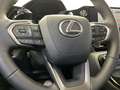 Lexus E-FOUR Executive Line *AHK*360°*el Heck* Gris - thumbnail 14