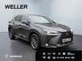 Lexus E-FOUR Executive Line *AHK*360°*el Heck* Gris - thumbnail 4