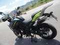 Benelli TRK 702 TRK 702 X EU 5+ mod. 2026 Verde - thumbnail 6