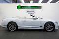 Bentley Continental GTC Speed W12/MULLINER/CARBON/NAIM Weiß - thumbnail 4