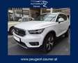 Volvo XC40 T4 Recharge PHEV Recharge Core Weiß - thumbnail 1
