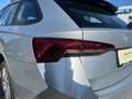 Skoda Octavia Ambition 4x4, Allrad, DSG, 1 Besitz, MwSt.,.. Grau - thumbnail 7
