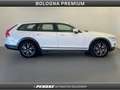 Volvo V90 Cross Country D5 AWD Geartronic Pro Weiß - thumbnail 6