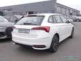 Skoda Scala 1.0 TSI Drive Kessy RüKa Sitzh. Smart Link Weiß - thumbnail 3